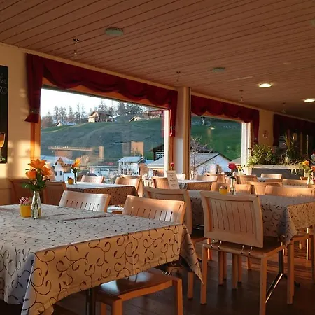 Hotel Mira Toedi Feldis
